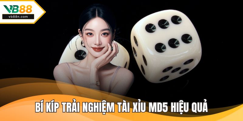 Bí kíp trải nghiệm tài xỉu MD5 hiệu quả