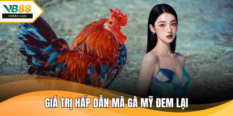 Giá trị hấp dẫn mà gà mỹ đem lại