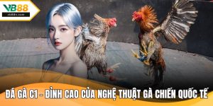 Đá Gà C1 - Đỉnh Cao Của Nghệ Thuật Gà Chiến Sới Quốc Tế