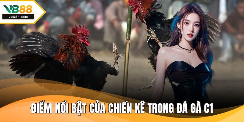 Điểm nổi bật của chiến kê trong đá gà c1