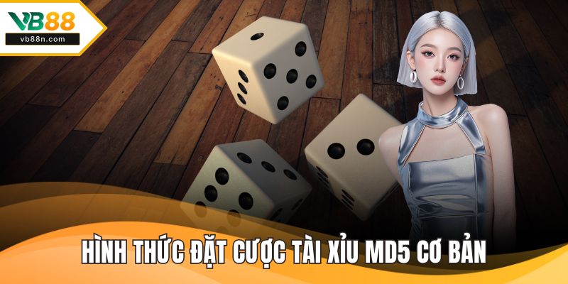 Hình thức đặt cược tài xỉu MD5 cơ bản
