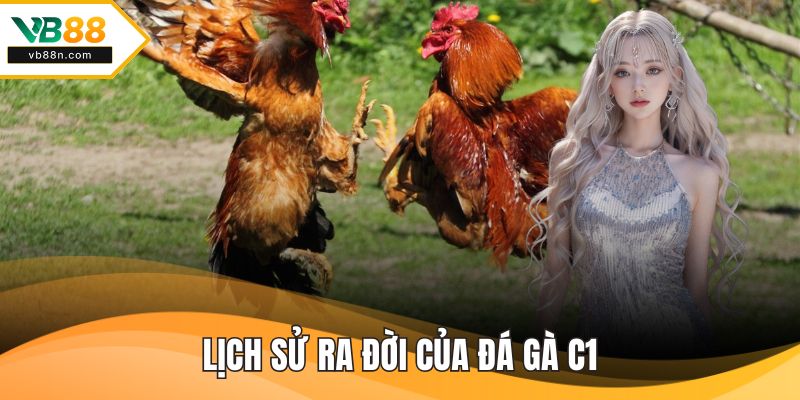 Lịch sử ra đời của đá gà c1