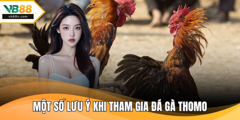 Một số lưu ý khi tham gia đá gà thomo