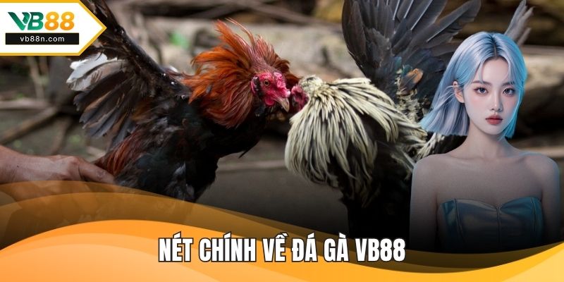 Nét chính về Đá gà VB88